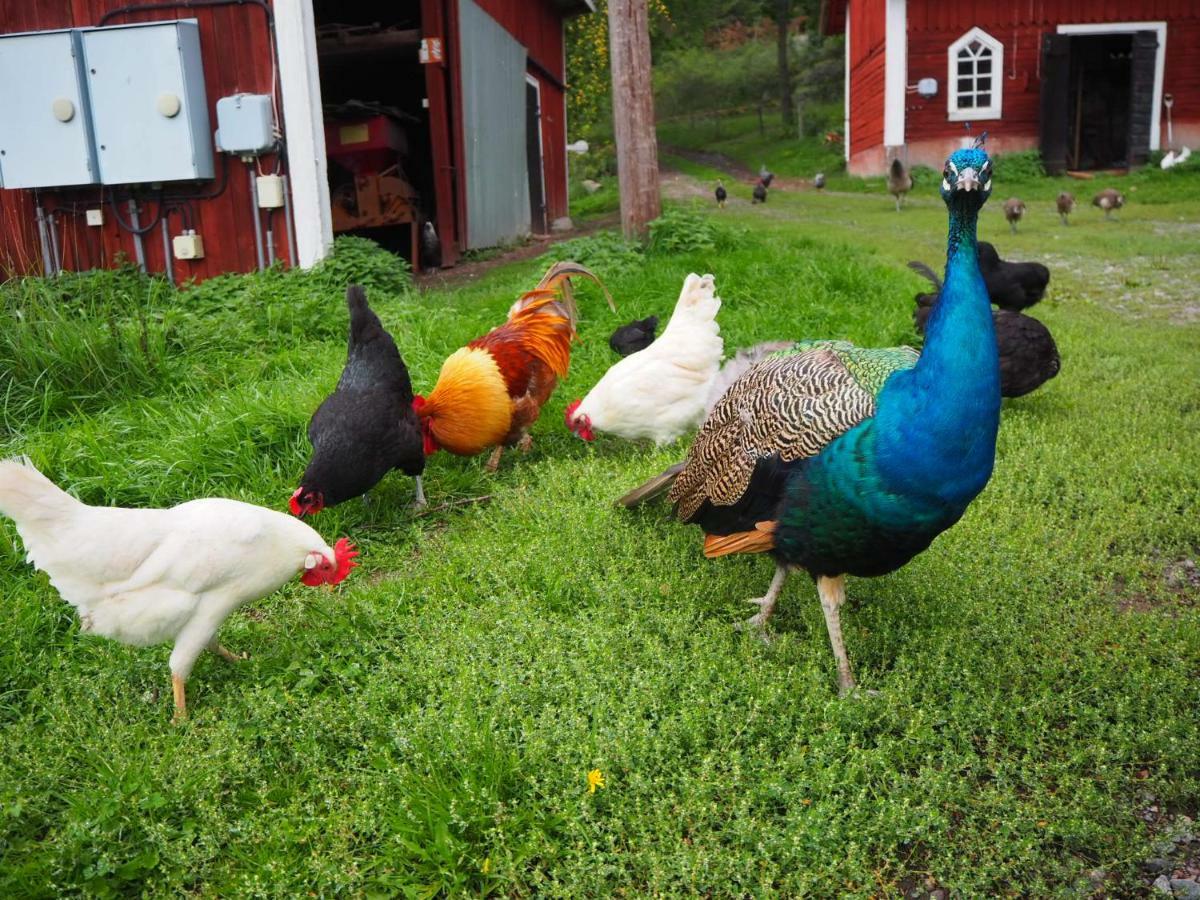 18Th Century Farm Cottage วาลเดมาร์สวิค ภายนอก รูปภาพ