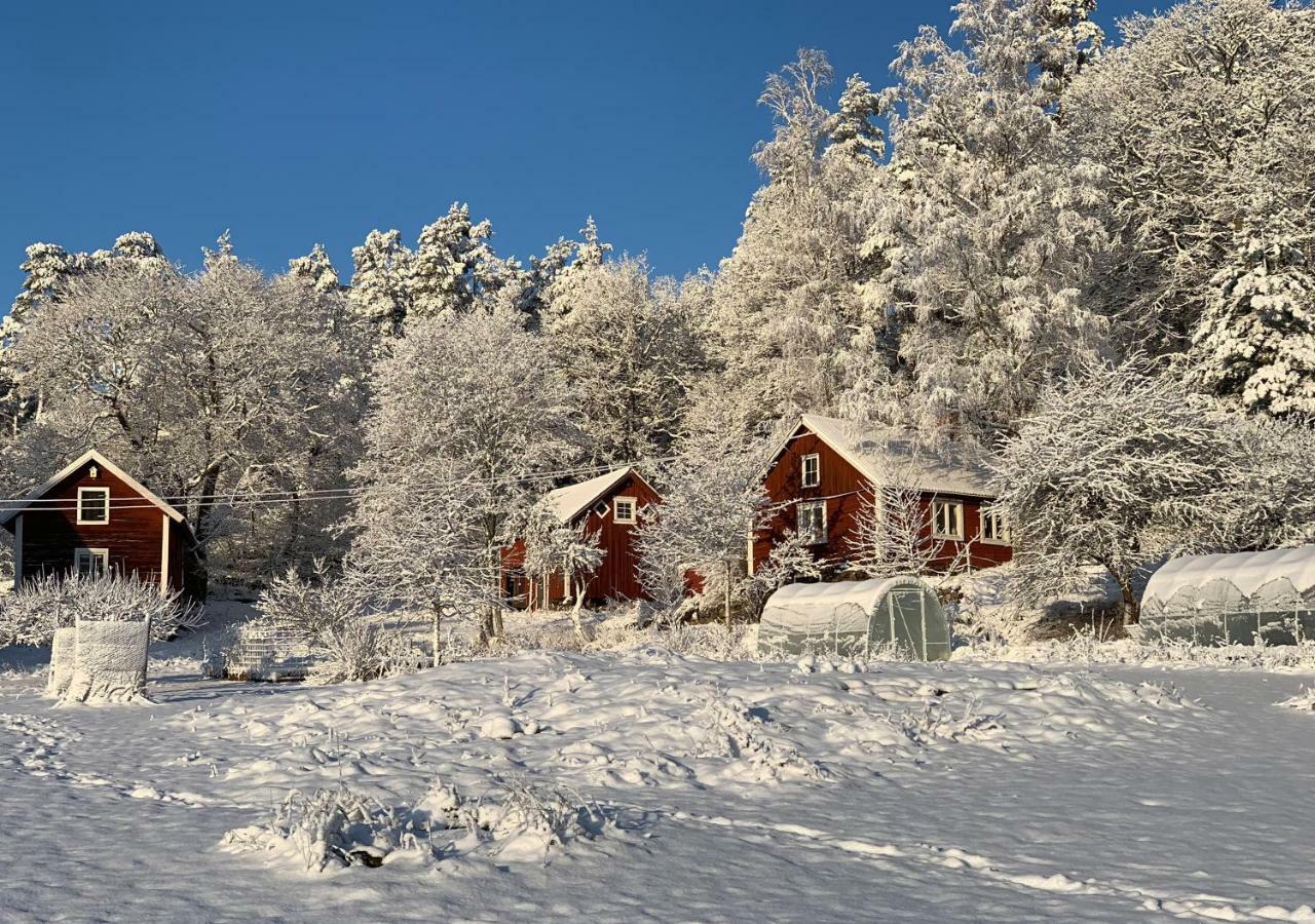 18Th Century Farm Cottage วาลเดมาร์สวิค ภายนอก รูปภาพ